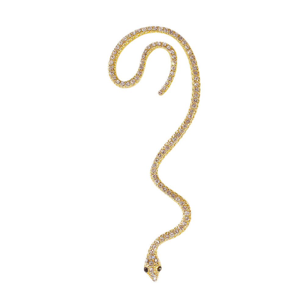 Serpentine Statement Earring | Tvayi