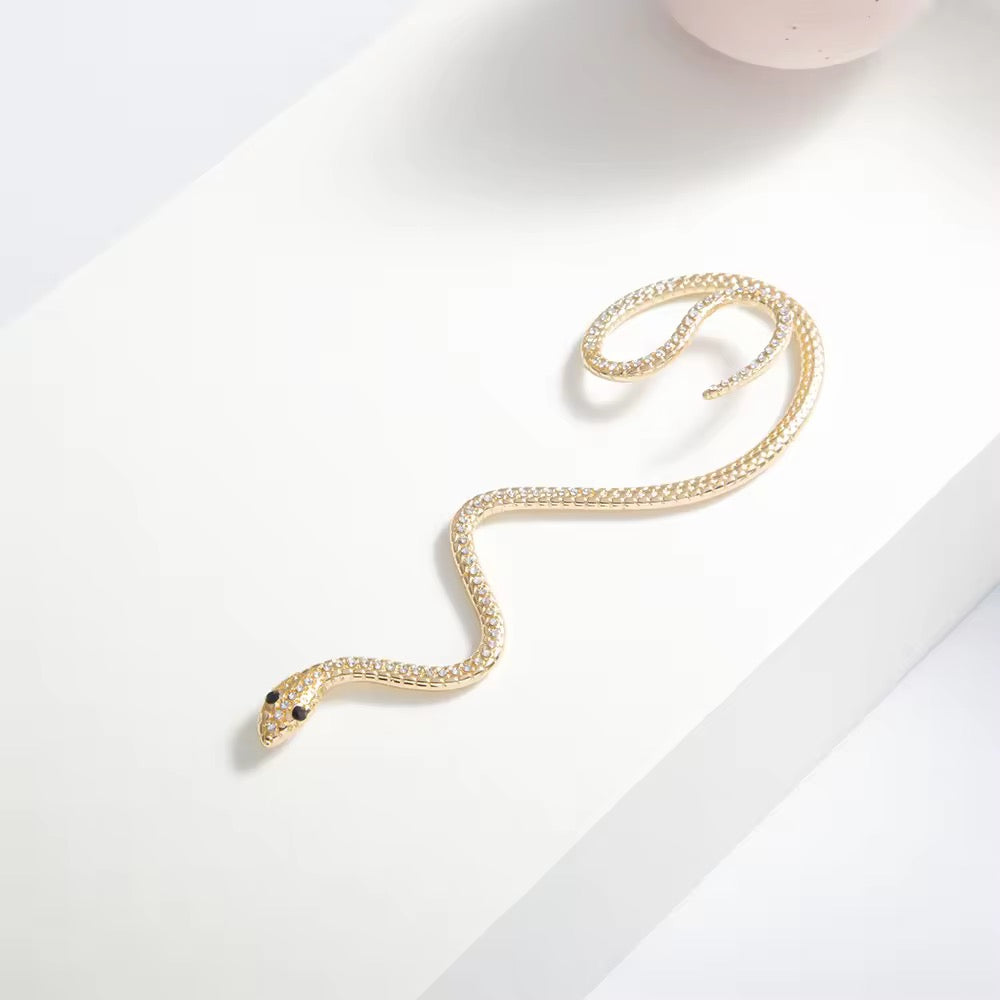 Serpentine Statement Earring | Tvayi